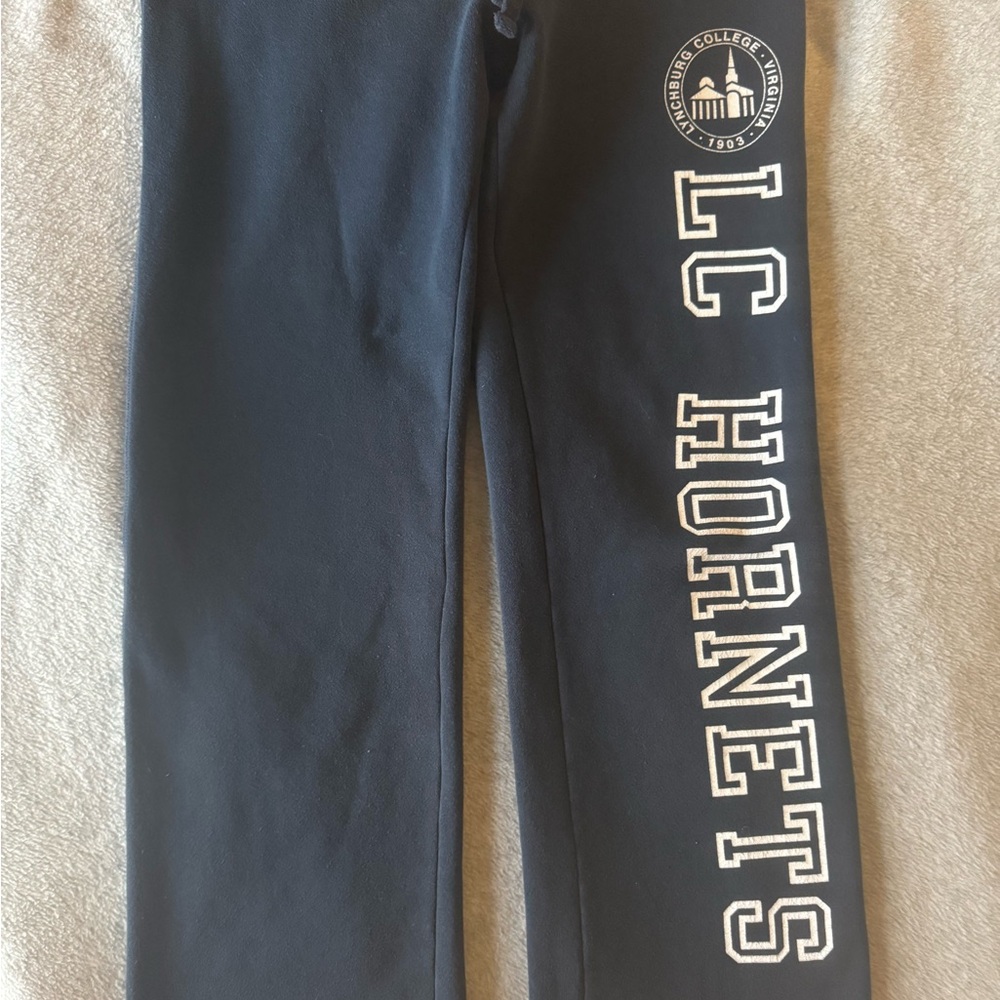 Jansport Lynchburg College Sweatpants - Picture 2 of 3